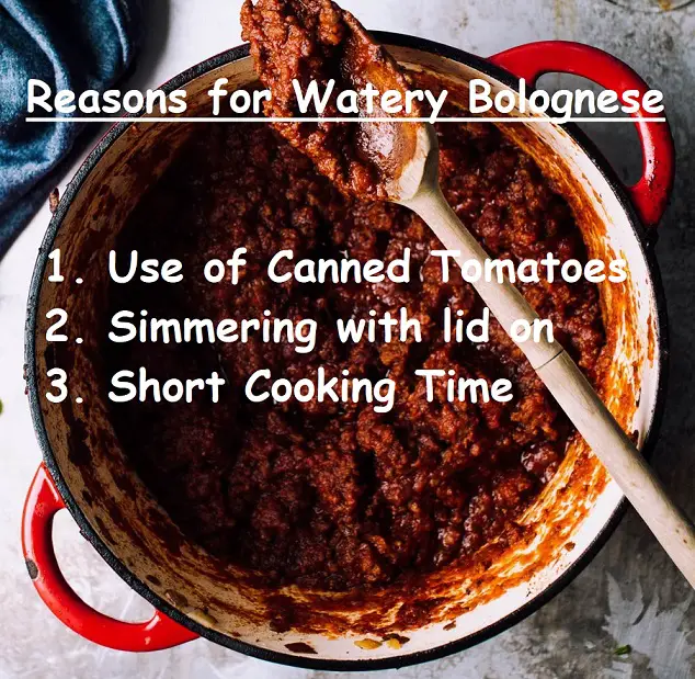 Reasons for watery Bolognese